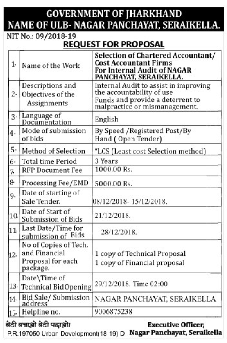 company audit date